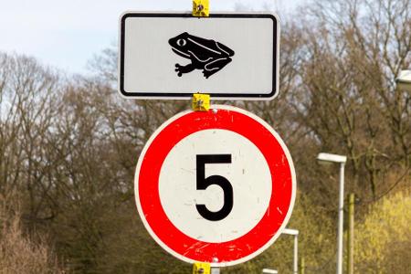 Alles zum Schutz von Kröten: 5 km/h pro Stunde, das zeigen die meisten Tachos nicht einmal an. So wie die Geschwindigkeit...