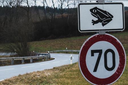 Abermals sind die Kröten ein Thema, denn dafür bittet man Autofahrer, nicht schneller als 70 km/h auf dieser Landstraße zu f...