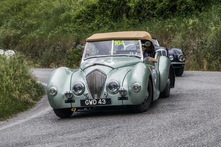 Die Donald Healey Motor Company aus Warwick in England existierte nur wenige Jahre von 1946 bis 1954. Das erste Serienfahrze...