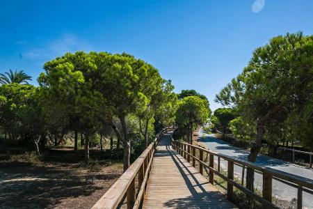 Über einen Holzweg oder eine kleine Straße gelangen Urlauber durch den kleinen Wald direkt ans Meer.