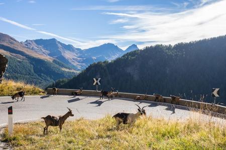 Das Timmelsjoch ist ein Grenzpass zwischen Österreich und Italien und liegt auf einer Höhe von 2.474 Metern. Vorsicht auf d...