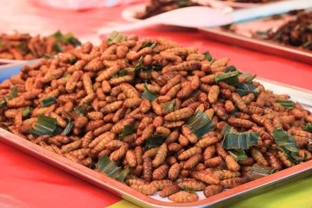 Der Ekel-Klassiker schlechthin: Frittierte Maden, Würmer oder sonstige Larven! An den Protein-Bomben gibt es auf Bangkoks Mä...