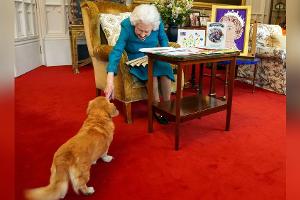 Queen Elizabeth II. bringt Parfüm für Hunde auf den Markt