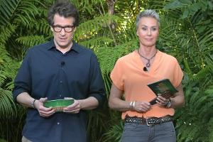 Dschungelcamp: "Das Nachspiel" eskaliert - Tränen bei Sonja Zietlow