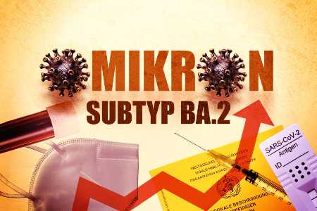 Omikron-Subtyp BA.2 Fall-Zunahme