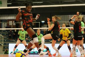 Corona: Volleyball-Pokalfinale Stuttgart gegen Dresden verschoben