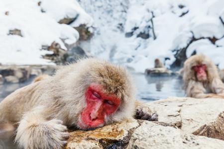 Zehn Länder, zehn Must-See-Places: Wer hat diese Orte auf dem Schirm?