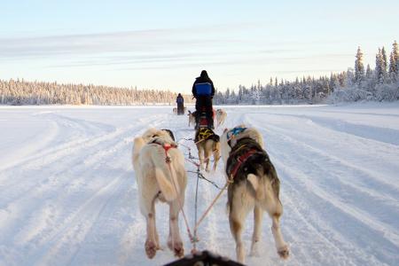 Diese Abenteuer können Urlauber in Skandinavien erleben Diese Abenteuer können Urlauber in Skandinavien erleben
