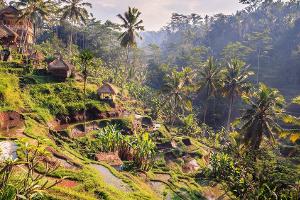 Bali lockert für Touristen: Eine Reise durch die Perle Indonesiens