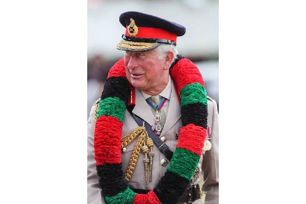 Auch Royals dürfen nicht einfach drauflos buddeln. Prinz Charles plant den Bau von 2.500 Wohnhäusern auf einem Landstück in Kent. Die dortige Baubehörde sieht sich allerdings heftigen Protesten zugesc ...