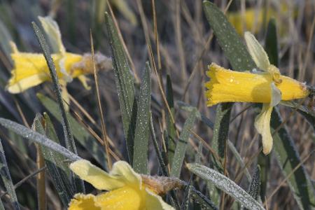 Deutschland erwacht: Ausflugsideen für den Frühling