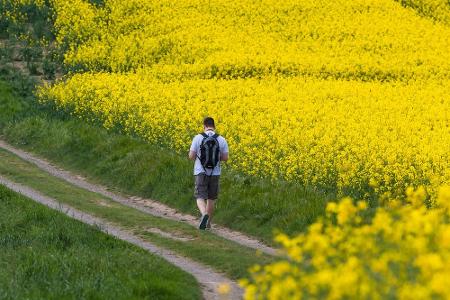 Deutschland erwacht: Ausflugsideen für den Frühling