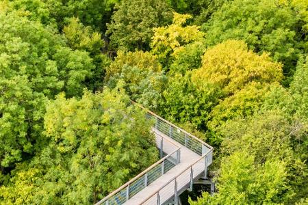 Deutschland erwacht: Ausflugsideen für den Frühling