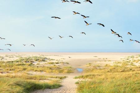 Deutschland erwacht: Ausflugsideen für den Frühling