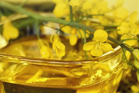 Die 20 besten Anti-Aging-Lebensmittel