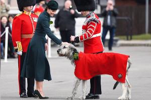 Herzogin Kate: Tierische Begrüßung am St. Patrick's Day