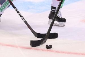 Frauen-Eishockey: Ingolstadt zum ersten Mal Meister