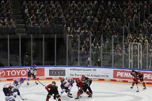 Kölner Haie wieder vor bis zu 18.600 Fans