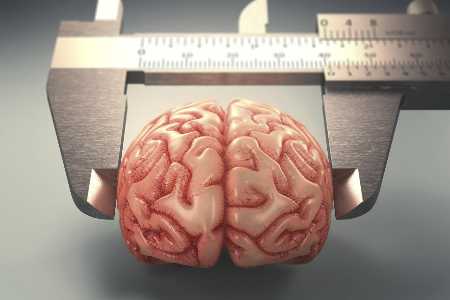IQ-Trainer: Wie schlau bist Du?