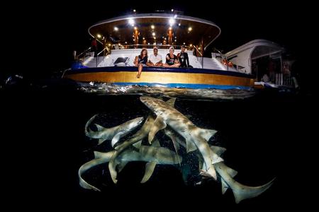 Siena International Photo Awards Grant Thomas Haie