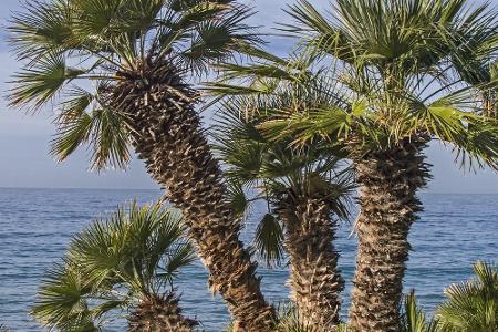 Trip-Tipps in die Sonne: Leben wie Gott in Italien