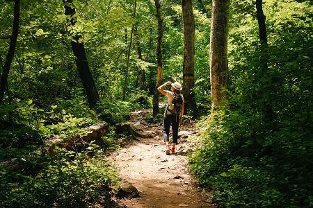 Die Natur ruft: Drei traumhafte Ziele für Waldbegeisterte Die Natur ruft: Drei traumhafte Ziele für Waldbegeisterte
