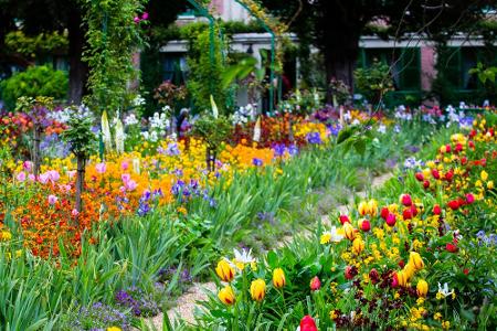 Bunte Pracht: Wo Blumenfreunde glücklich werden