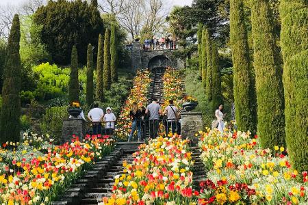 Bunte Pracht: Wo Blumenfreunde glücklich werden