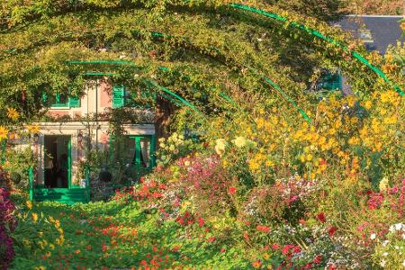 Bunte Pracht: Wo Blumenfreunde glücklich werden