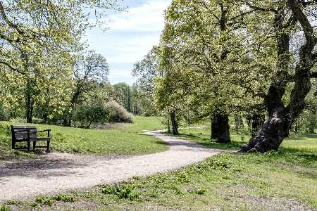 Die schönsten Orte für ein Picknick in Deutschland