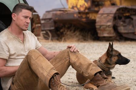 Die Kino-Tipps im Mai