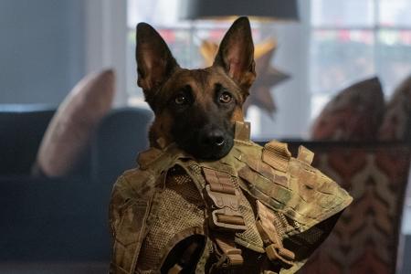 Die Kino-Tipps im Mai