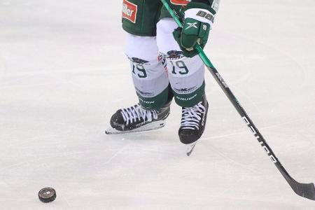DEL: Augsburg verlängert mit Torjäger Payerl DEL: Augsburg verlängert mit Torjäger Payerl
