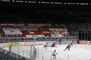 DEL: Haie holen Verteidiger Dietz