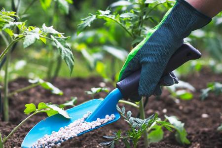 Zehn Dinge, die Sie aus Ihrem Garten verbannen sollten