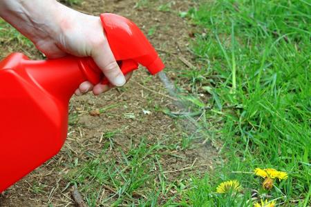 Zehn Dinge, die Sie aus Ihrem Garten verbannen sollten