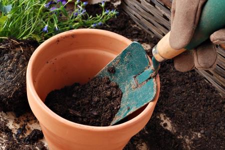 Zehn Dinge, die Sie aus Ihrem Garten verbannen sollten
