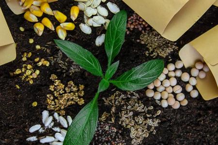 Zehn Dinge, die Sie aus Ihrem Garten verbannen sollten