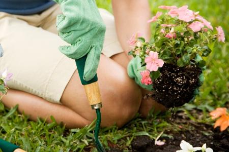 Zehn Dinge, die Sie aus Ihrem Garten verbannen sollten