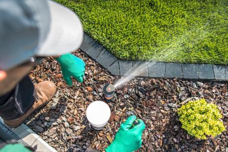 Zehn Dinge, die Sie aus Ihrem Garten verbannen sollten