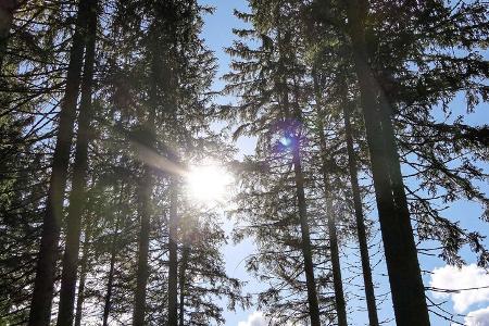 Schwarzwald Wohnmobil-Reise