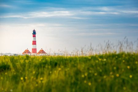 Die schönsten Orte für ein Picknick in Deutschland