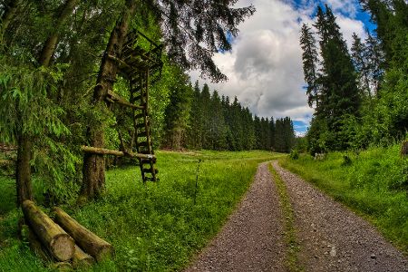 Die schönsten Orte für ein Picknick in Deutschland