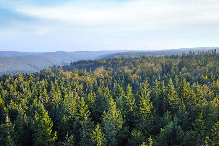 Mobil-Tour Nordschwarzwald