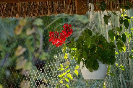Balkon mit Taubennetz