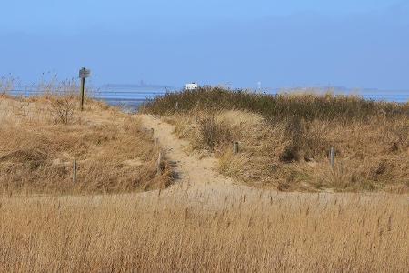 Düne Cuxhaven getty.jpg