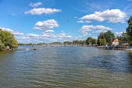 Steinhuder Meer getty.jpg