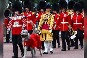 Zwischenfall bei "Trooping the Colour": Demonstranten festgenommen