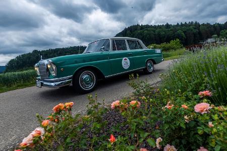 Mercedes 220 Sb W111 (1959) Paul Pietsch Classic (2022)