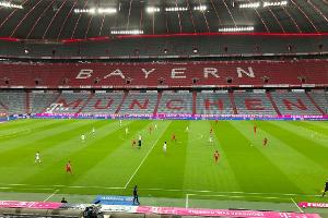 Umfrage: Fan-Interesse an der Bundesliga erheblich gesunken